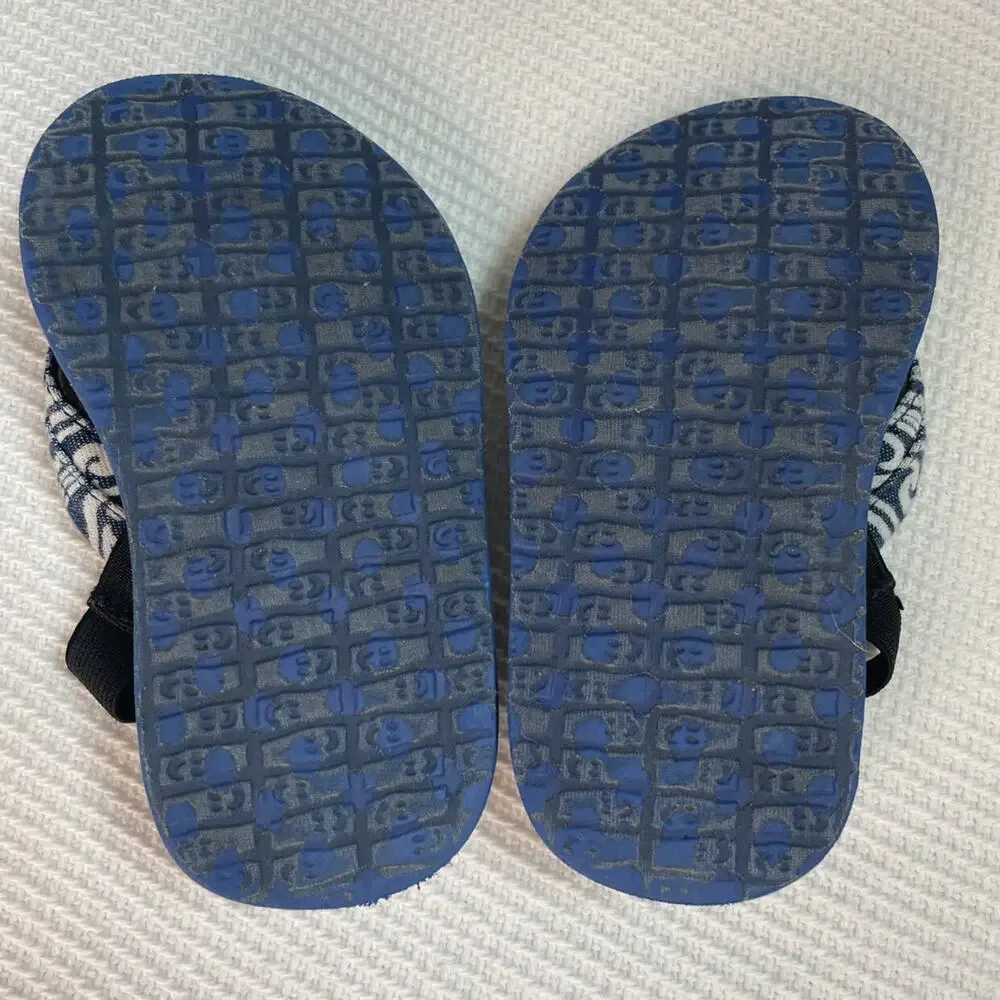 Sanuk Flip Flops
